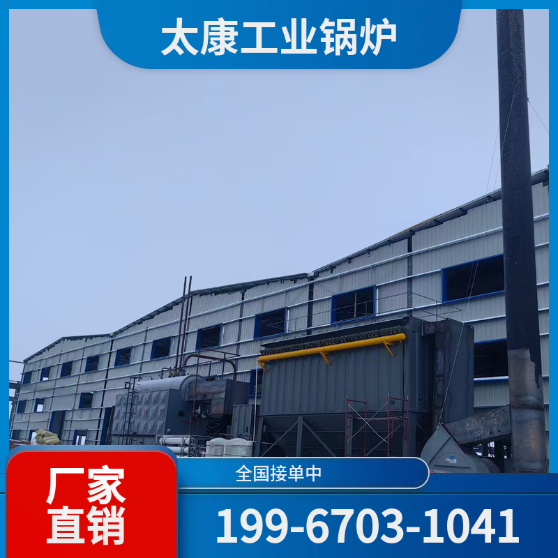 阿坝电加热导热油锅炉